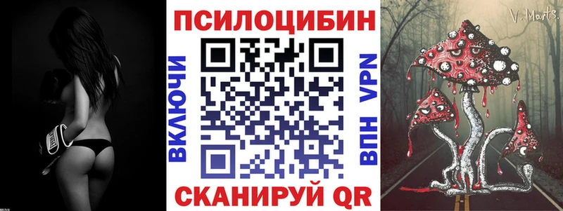 Псилоцибиновые грибы Psilocybine cubensis  Купить закладки  Тольятти 